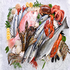 Fish And Seafood